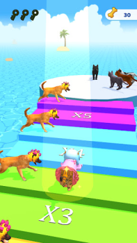 Scaricare Cats run 3D Simulatori per Android Screenshot 7