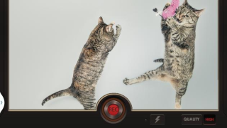 Scaricare Effetti Video Slow Motion Lettori ed editor video per Android Screenshot 5