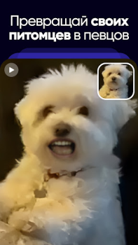 Scaricare Revive: Facce Buffe Animatore Intrattenimento per Android Screenshot 5