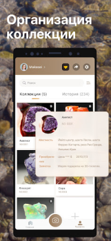 Scaricare Rock Identifier - Pietra ID Stile di vita per Android Screenshot 3