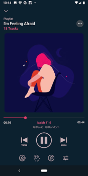 Scaricare Dwell: Audio Bible Libri e guide per Android Screenshot 3