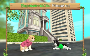 Scaricare Cat Sim Online Simulatori per Android Screenshot 3