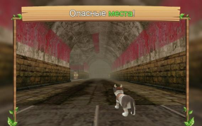 Scaricare Cat Sim Online Simulatori per Android Screenshot 6