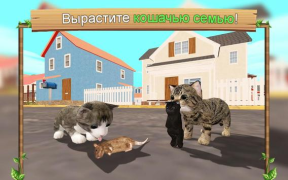 Scaricare Cat Sim Online Simulatori per Android Screenshot 7