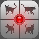 Scaricare  Ciao-miao - gioca con il tuo g