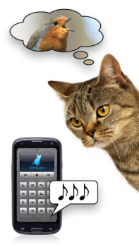 Scaricare Ciao-miao - gioca con il tuo g Intrattenimento per Android Screenshot 3