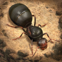 Scaricare  The Ants: Underground Kingdom