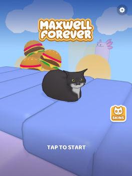 Scaricare Maxwell Forever - Cat Game Avventure per Android Screenshot 5
