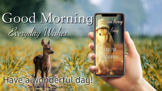 Scaricare Buongiorno Auguri Quotidiani Intrattenimento per Android Screenshot 7