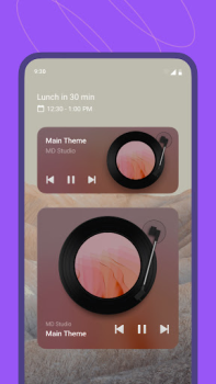 Scaricare MD Vinyl - Lettore Musicale Musica e audio per Android Screenshot 5