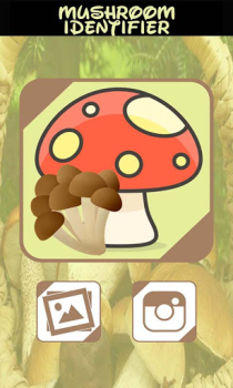 Scaricare Identificatore di funghi Intrattenimento per Android Screenshot 2