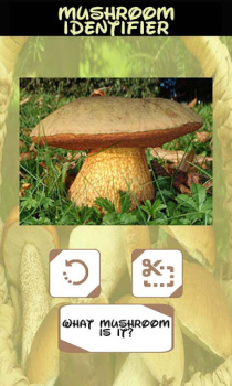 Scaricare Identificatore di funghi Intrattenimento per Android Screenshot 3