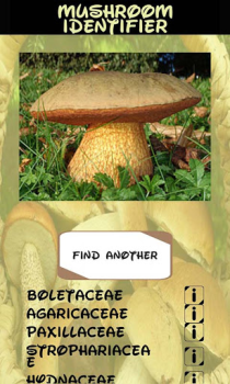 Scaricare Identificatore di funghi Intrattenimento per Android Screenshot 4