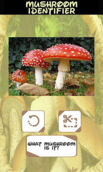 Scaricare Identificatore di funghi Intrattenimento per Android Screenshot 6