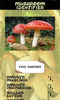 Scaricare Identificatore di funghi Intrattenimento per Android Screenshot 7