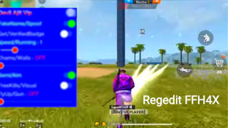 Scaricare Regedit H4X Mod Menu Fire Ha Intrattenimento per Android Screenshot 6