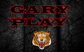 Scaricare Gary play Intrattenimento per Android Screenshot 4