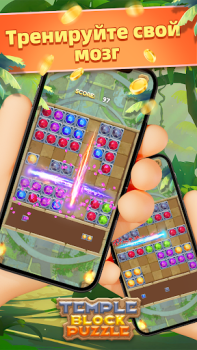Scaricare Temple Block Puzzle Casual per Android Screenshot 5