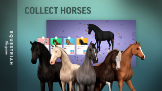 Scaricare Equestrian the Game Simulatori per Android Screenshot 2