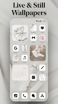 Scaricare Themify: temi, widget e icone Personalizzazione per Android Screenshot 6