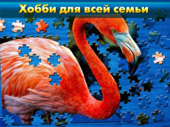 Scaricare Cool Jigsaw Puzzles Giochi rompicapo per Android Screenshot 4