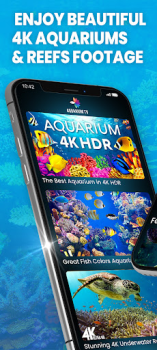 Scaricare Aquariums TV Foto per Android Screenshot 2