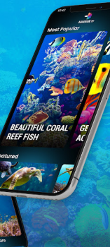 Scaricare Aquariums TV Foto per Android Screenshot 3