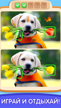 Scaricare Can You Spot It: Differences Giochi rompicapo per Android Screenshot 3