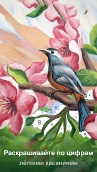 Scaricare Colorswipes® - Color by Number Giochi da tavolo per Android Screenshot 2