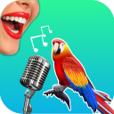 Scaricare  Bird Translator Simulator App