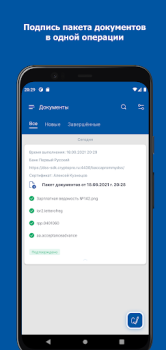 Scaricare DSS Client Strumenti per Android Screenshot 3