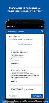 Scaricare DSS Client Strumenti per Android Screenshot 6