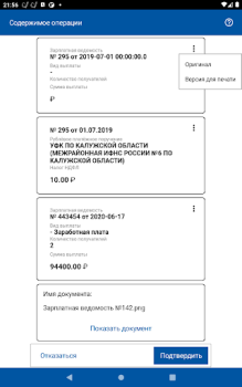 Scaricare DSS Client Strumenti per Android Screenshot 7