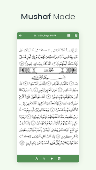 Scaricare Al Quran (Tafsir & by Word) Libri e guide per Android Screenshot 3