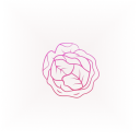 Scaricare  白菜VPN:梯子 科学上网无限流量快速安全的VPN
