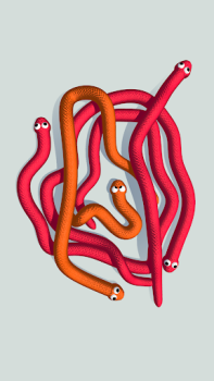 Scaricare Tangled Snakes Giochi rompicapo per Android Screenshot 6