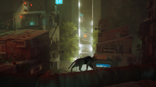 Scaricare Stray Cat Simulator Mobile Simulatori per Android Screenshot 2