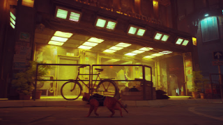 Scaricare Stray Cat Simulator Mobile Simulatori per Android Screenshot 4