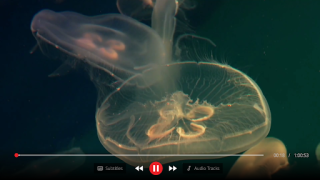Scaricare IBO Player Lettori ed editor video per Android Screenshot 3