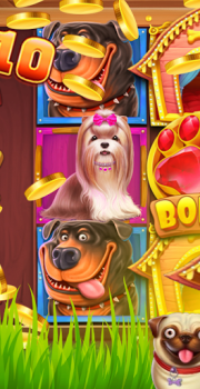 Scaricare The Dog House Casinò per Android Screenshot 2