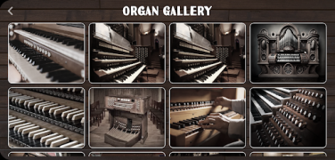 Scaricare Organ Instrument Musica e audio per Android Screenshot 7