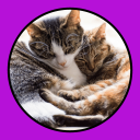 Scaricare  Katzen Clicker Training Light