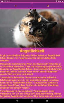 Scaricare Katzen Clicker Training Light Alloggi e case per Android Screenshot 7