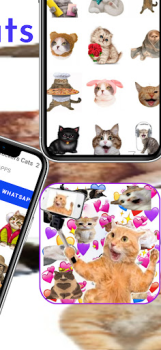 Scaricare meme Adesivi Gatti Comunicazione per Android Screenshot 4
