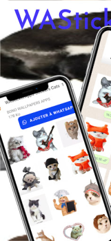 Scaricare meme Adesivi Gatti Comunicazione per Android Screenshot 6