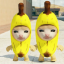 Scaricare  Banana Cat