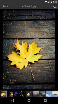 Scaricare ACDSee Mobile Sync Foto per Android Screenshot 7