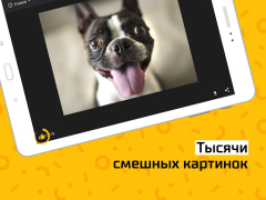 Scaricare АйДаПрикол Intrattenimento per Android Screenshot 6