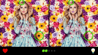 Scaricare Trova la differenza 1000+ Giochi rompicapo per Android Screenshot 6