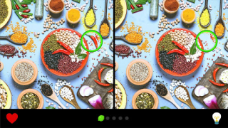 Scaricare Trova la differenza 1000+ Giochi rompicapo per Android Screenshot 7